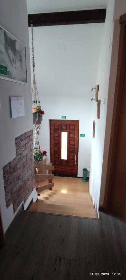 Apartamento Liammarco Plaški Exterior foto